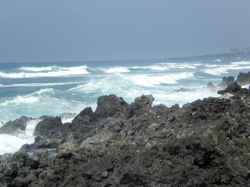 pure4_hawaii_08.jpg pure4_hawaii_08.jpg